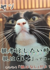 『　親不孝通り！？　』 画像3