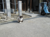 no title 画像3