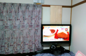 テレビ移動 画像3