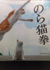 『　のら猫拳！？　』 画像1