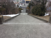 初詣！？ 画像1