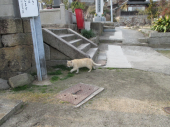 no title 画像2