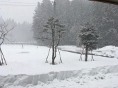雪 のんびり 画像3