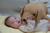 ワンワン♪ 画像1