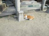 no title 画像2