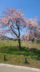 『4』にまつわるエトセトラ 画像1