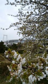 東京で１番好きな１本♬ 画像2