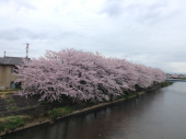 やっと 画像1