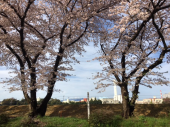 雨上りの朝…♪ 画像3