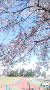 やっと家に帰れた(>_<) 画像1