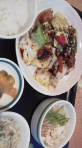 ２０１７/４/１３/芭蕉句碑めぐり/東漸時/円通院/桃林軒/商家の資料館 画像3