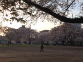公園ラン♪ 画像3