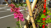 川崎＆新橋・新橋＆川崎 画像2