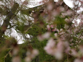 県境まで 画像1