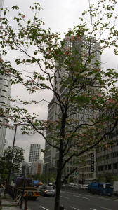 川崎＆新橋・新橋＆川崎 画像3