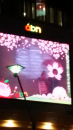 花びら と 桜