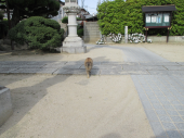 no title 画像2