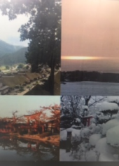 『　地道さ・実直さ・素朴さ！　』 画像3