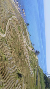 ２０１７/５/１９/輪島朝市/世界農業遺産白米の千枚田/巌門：能登金剛センター/七尾フィッシャーマンズワーフ能登食祭市場 画像1