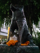 ハチ公の前で待ち合わせ 画像1