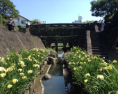 約13km 画像2