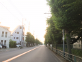 　また延期・・・♪
