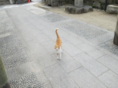 no title 画像3