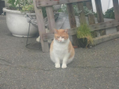 私に何か？ 画像1