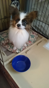 ☆最後のボーナス☆ 画像1