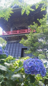 ２０１７/６/１１/入梅/別府沼公園/能護寺/坂田医院旧診療所/妻沼聖天山/道の駅妻沼/JA直売所/スーパー銭湯 画像1