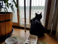 バーニャカウダー