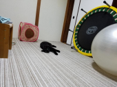 バーニャカウダー 画像3