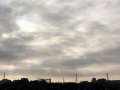がっかり・・・♪