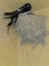 一家団欒？ 画像1