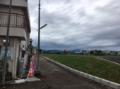 雨上りラン♪ 画像2