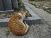 no title 画像2