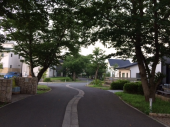歩くが・・ 画像1
