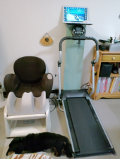 歩きながら　立ったままでＰＣ 画像1