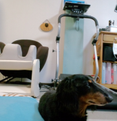 歩きながら　立ったままでＰＣ 画像3