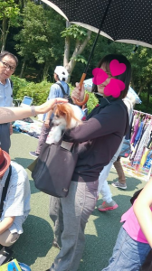 ☆灼熱のフリマ☆ 画像1