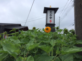 昨日コメント忘れた 画像3