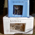 PCが異常(T_T)