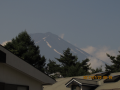 本格的夏の到来