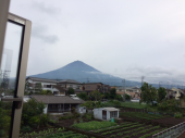 孫は4歳になる 画像1