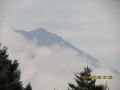 今日は湿度が高い