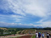 青い池と滝 画像2
