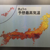 『　台風一過！？　』 画像3