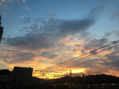 夏の終わり・・・♪ 画像1