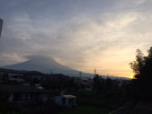 草取り＝大嫌い　話するな 画像1