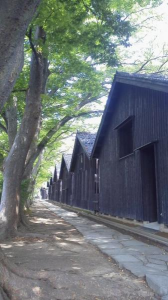 ２０１７/８/３０/山居倉庫/庄内米歴史資料館/本間家旧本邸/旧鐙屋/本間美術館 画像2